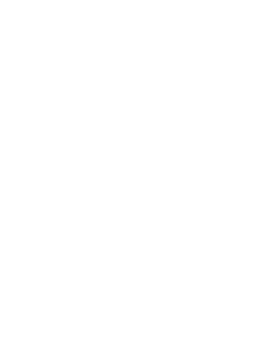 Equine Salt Systems Logo